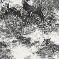 Обои Architector Sauvage 2 арт-KT40600 — фото 1, Обои