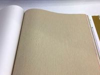 Обои Shinhan Palette арт-88453-3 — фото 2, Обои