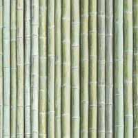 Обои Aura Organic Textures арт-G67941 — фото 1, Обои