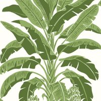 Обои Thibaut Palm Grove арт-T13914 — фото 1, Обои