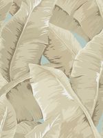 Обои Jaima Brown Charleston Home арт-JB50702 — фото 1, Обои