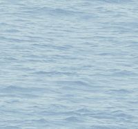 Обои Paper & Ink Navy Grey and White арт-BL71312 — фото 1, Обои