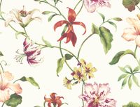 Обои Jaima Brown Charleston Home арт-JB40110F — фото 1, Обои