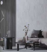 Обои Bernardo Bartalucci Sarrieri Флизелин (1,06*10) Серый/Серебряный, Абстракция арт-5077-4 — фото 2, Обои