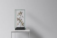 Обои Rasch Textil Petite Fleur 5 арт-288529 — фото 2, Обои