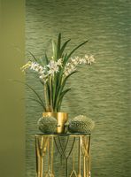 Обои Loymina Equator арт-QTR6-005 — фото 2, Обои