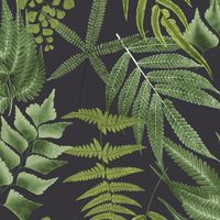 Обои Graham & Brown Explorer арт-107879 — фото 1, Обои для стен