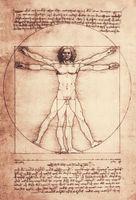 Обои Jannelli&Volpi Leonardo арт-23091 — фото 1, Обои