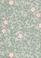 Товар: Обои Little Greene National Trust Papers 3 арт-0263BRSALIX - фото 1 Обои Little Greene National Trust Papers 3 арт-0263BRSALIX — фото 1, Обои