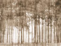 Фрески Affresco New Art арт-RE153-COL2 — фото 1, Фрески