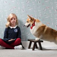 Обои Milassa Bon Voyage арт-D6-007 — фото 2, Обои