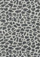 Обои Thibaut Colony арт-T10222 — фото 1, Обои