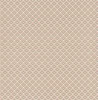 Обои 1838 Wallcoverings Camellia арт-1703-112-04 — фото 1, Обои