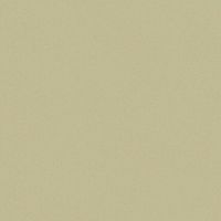 Обои Caselio Color Box 3 арт-3102237022 — фото 1, Обои для стен