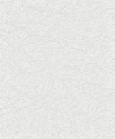 Обои Marburg Patent Decor Винил на флизелине (1,06*25) Белый, Штукатурка арт-9755 — фото 1, Обои