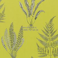 Обои Sanderson Painter's Garden арт-DAPGWO101 — фото 1, Обои