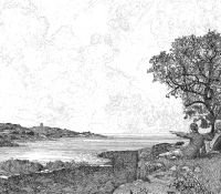 Обои Architector Tempo арт-6300083 — фото 1, Обои