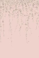 Обои Cole & Son Hummingbirds Cream арт-124-2014 — фото 4, Обои