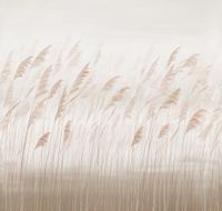 Фрески Hygge Wall Best of арт-H11902 — фото 1, Фрески