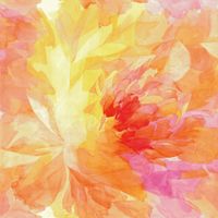 Обои Loymina Illusion арт-DM-006 — фото 1, Обои