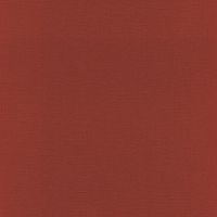 Обои Rasch Amazing арт-531374 — фото 1, Обои