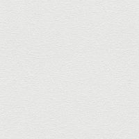 Обои Rasch Wallton арт-183610 — фото 1, Обои для стен