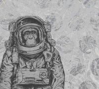 Обои KT-Exclusive Vanilla Lime арт-014214 — фото 1, Обои