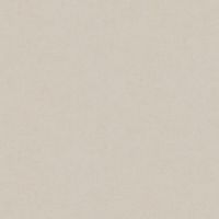 Обои AS Creation Accent Винил на флизелине (1,06*10,05) Бежевый, Штукатурка арт-36890-6 — фото 1, Обои