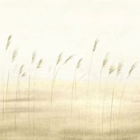 Обои Casadeco Sentier Des Dunes арт-200082704 — фото 1, Обои