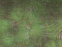 Обои Zambaiti Parati Lamborghini 2 арт-90067 — фото 1, Обои для стен