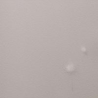 Обои Andrea Rossi Gavi Винил на флизелине (1,06*10) Коричневый, Листья/Цветы арт-54368-4 — фото 1, Обои для стен