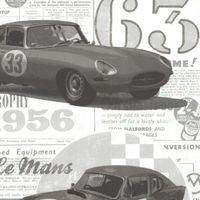 Обои Aura Handsome арт-FD21263 — фото 1, Обои