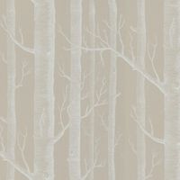 Обои Cole & Son Contemporary Collection арт-69-12149 — фото 1, Обои