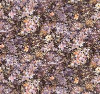 Обои Loymina Etude vol. 2 арт-ETD21-010 — фото 1, Обои