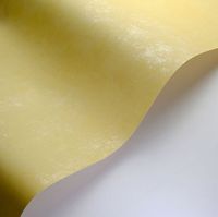 Обои Casadeco Stone 2 арт-80832109 — фото 2, Обои для стен