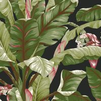 Товар: Обои York Tropics Resource Library арт-AT7071 - фото 1 Обои York Tropics Resource Library арт-AT7071 — фото 1, Обои