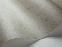 Обои Borastapeter Sense of Silence арт-6304 — фото 2, Обои