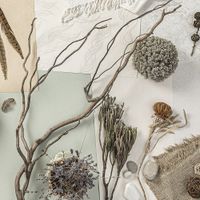 Обои Hygge Hygge арт-Hg7-004-2 — фото 3, Обои для стен