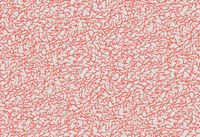 Обои Hookedonwalls Hidden Treasures арт-70062 — фото 1, Обои