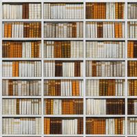 Обои Aura Panorama арт-V135-1-C — фото 1, Обои