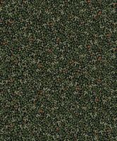 Обои Khroma Zoom Olivia арт-OLI605 — фото 1, Обои