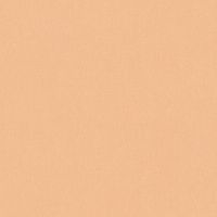 Обои Architects Paper Jungle Chic арт-37702-1 — фото 1, Обои