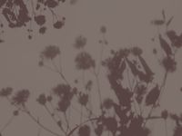 Фрески Wall Street Фрески арт-25347 — фото 1, Фрески