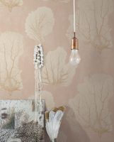 Обои York Aviva Stanoff Signature арт-VA1208 — фото 2, Обои