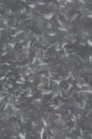 Обои Loymina Illusion арт-DM-030 — фото 1, Обои