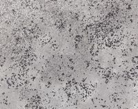 Обои Designers Guild Castellani арт-P593-07 — фото 1, Обои