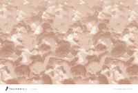 Фрески Fresq Pattern Roll арт-FUDJI26-09 — фото 1, Фрески