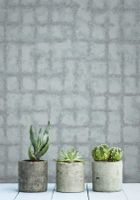 Обои Aura Scott Living арт-SP87348 — фото 2, Обои