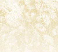 Обои KT-Exclusive Vanilla Lime арт-014350 — фото 1, Обои