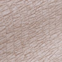 Обои Shinhan Palette арт-88444-1 — фото 3, Обои